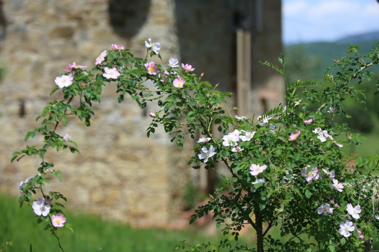 La Ghianda Del Mommo Bed and Breakfast Barberino di Val dʼElsa Exterior foto